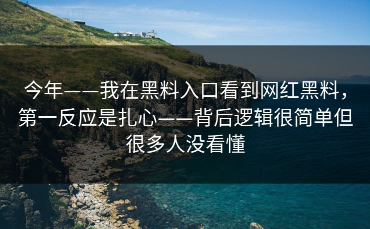 今年——我在黑料入口看到网红黑料，第一反应是扎心——背后逻辑很简单但很多人没看懂