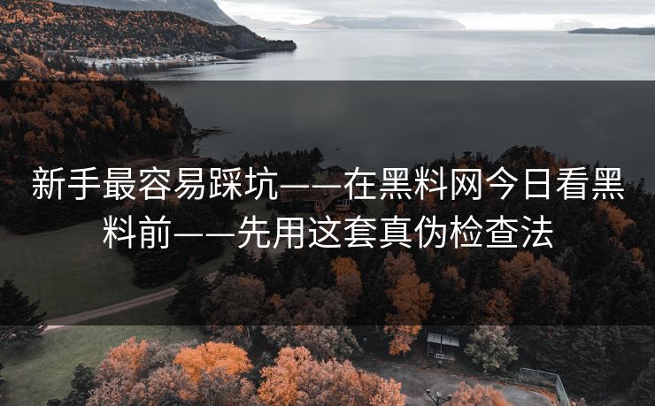 新手最容易踩坑——在黑料网今日看黑料前——先用这套真伪检查法