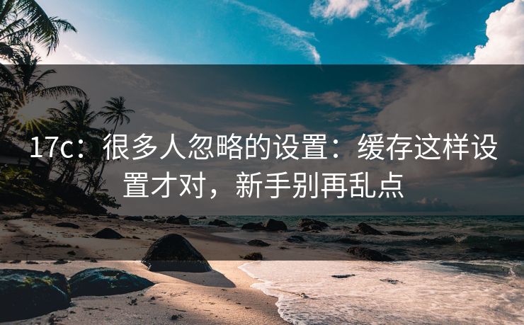 17c：很多人忽略的设置：缓存这样设置才对，新手别再乱点